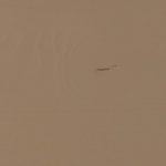 377438-M_main.jpg